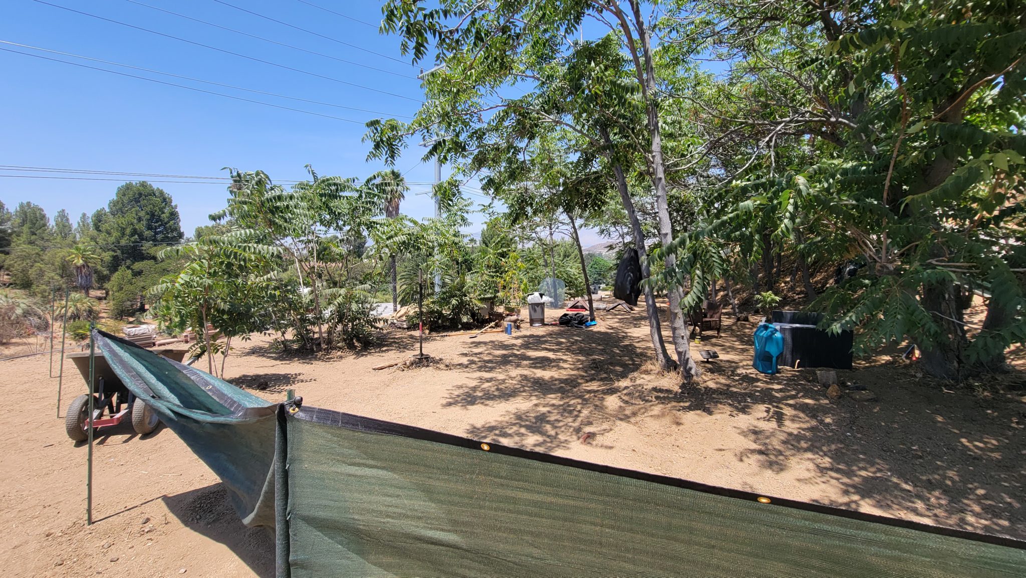 Sun Valley (Outdoors) — image 6
